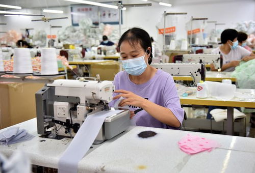 社会 河北临城 筑巢引凤 促就业
